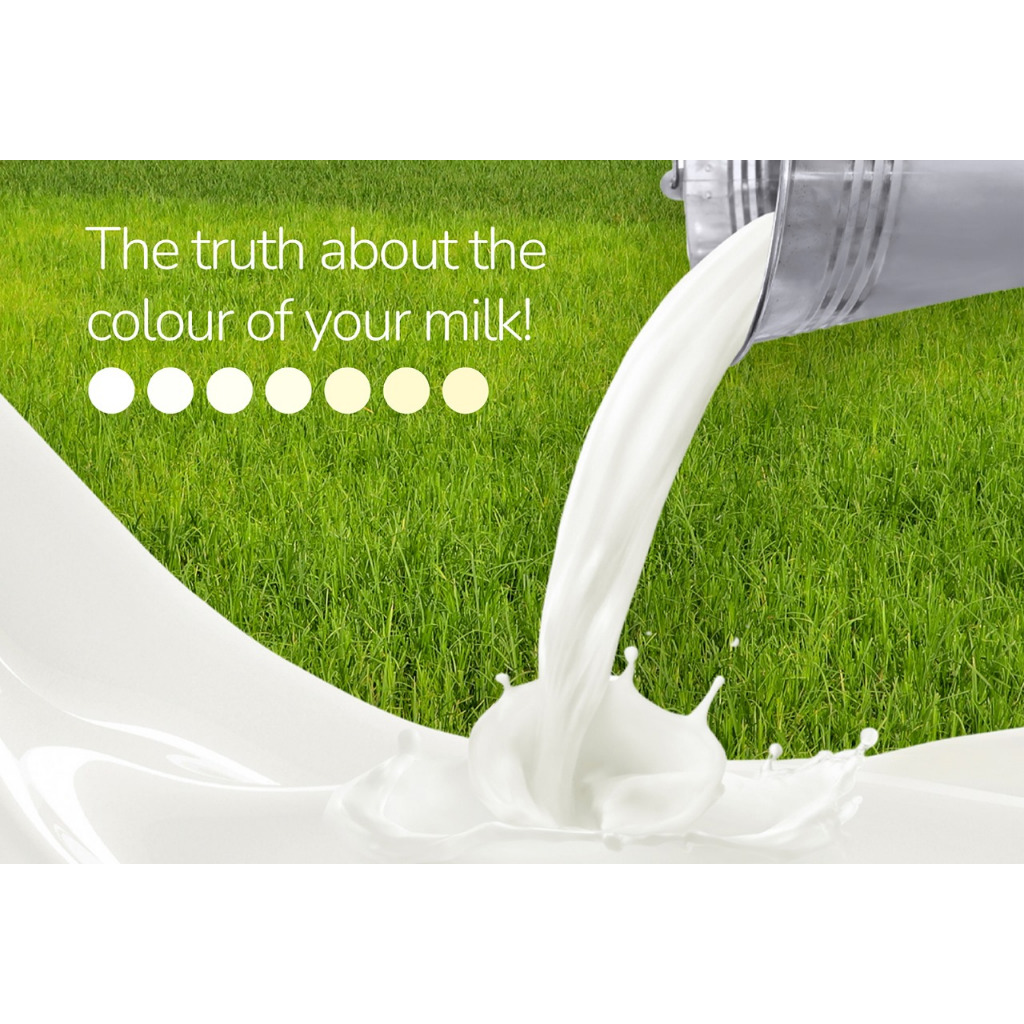 Amul Taaza Full Cream Milk 1 Litre {Made in India) - Image 3